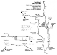 Descent 191 Frog Pot - Nidderdale